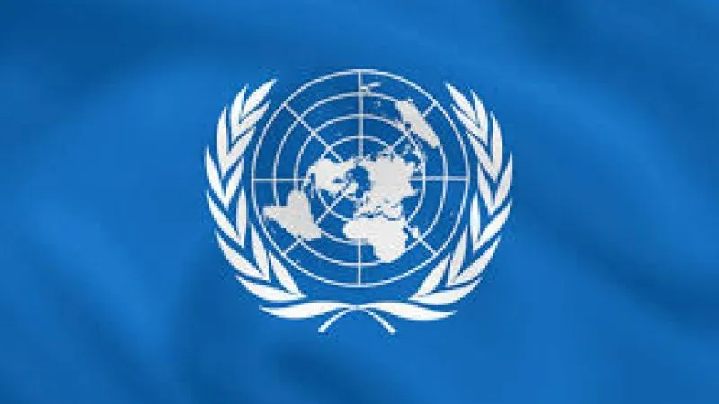 Nueva decisión de la ONU califica como arbitrarias detenciones de ciudadanos por manifestaciones.