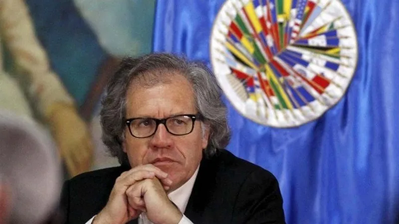 45 ONG apoyan continuar activación de Carta Democrática Interamericana en Venezuela
