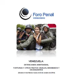 Detenciones arbitrarias, torturas y otros tratos crueles, inhumanos y degradantes ( febrero/octubre 2014)