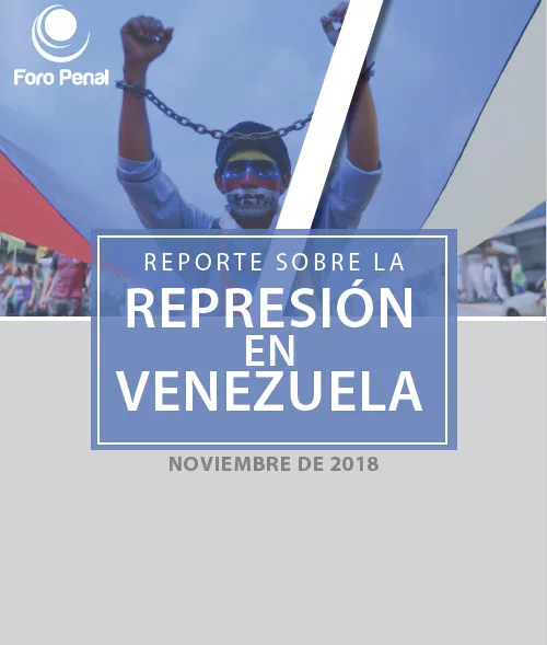 Reporte sobre la Represión en Venezuela. Noviembre 2018