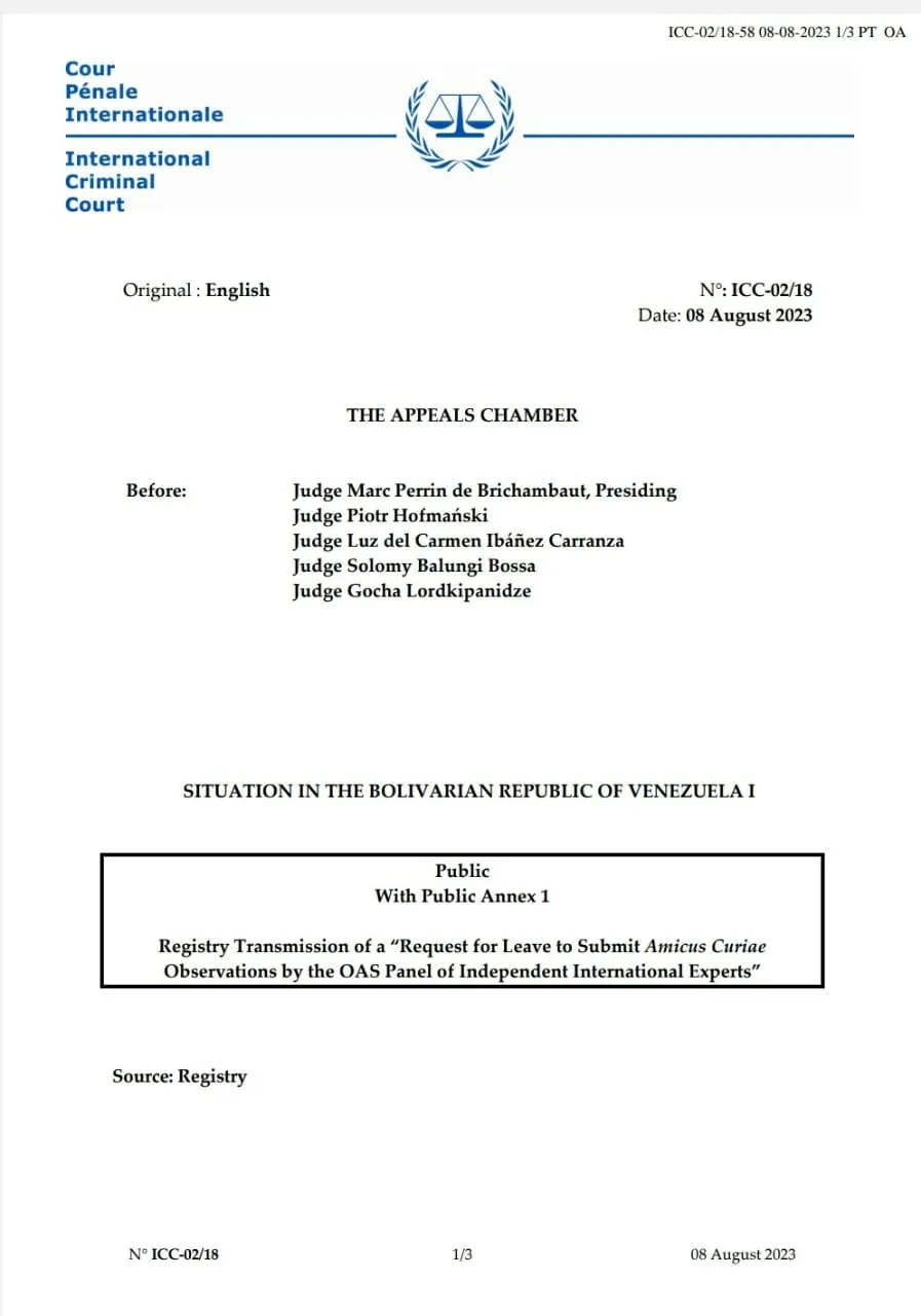 Grupo de Expertos Internacionales Independientes de la ONU solicitan permiso a la Corte Penal Internacional