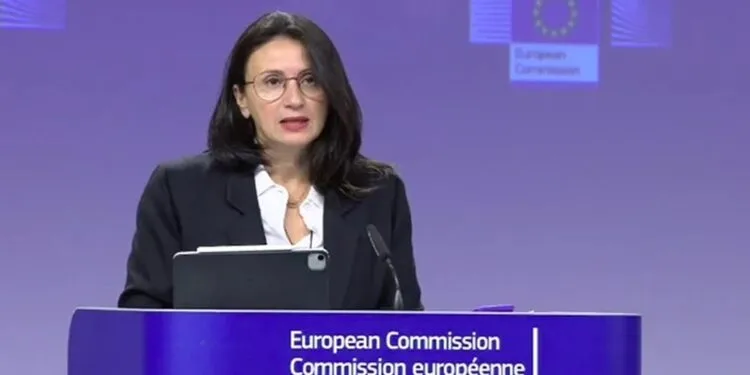 Unión Europea pide la liberación inmediata de la defensora de DDHH Rocío San Miguel