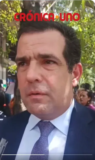 Alfredo Romero, director Foro Penal, aseguró que este miércoles los tribunales parecen estar más organizados para la recepción de solicitudes de amnistías.