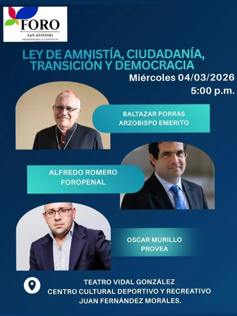 Ley de Amnistía, Ciudadanía, Transición, y Democracia