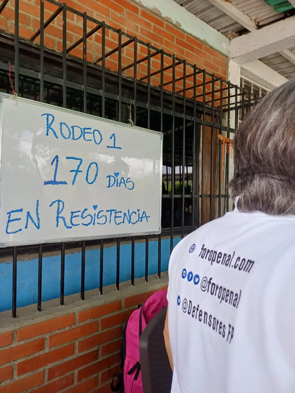 Imagen 4 de 31