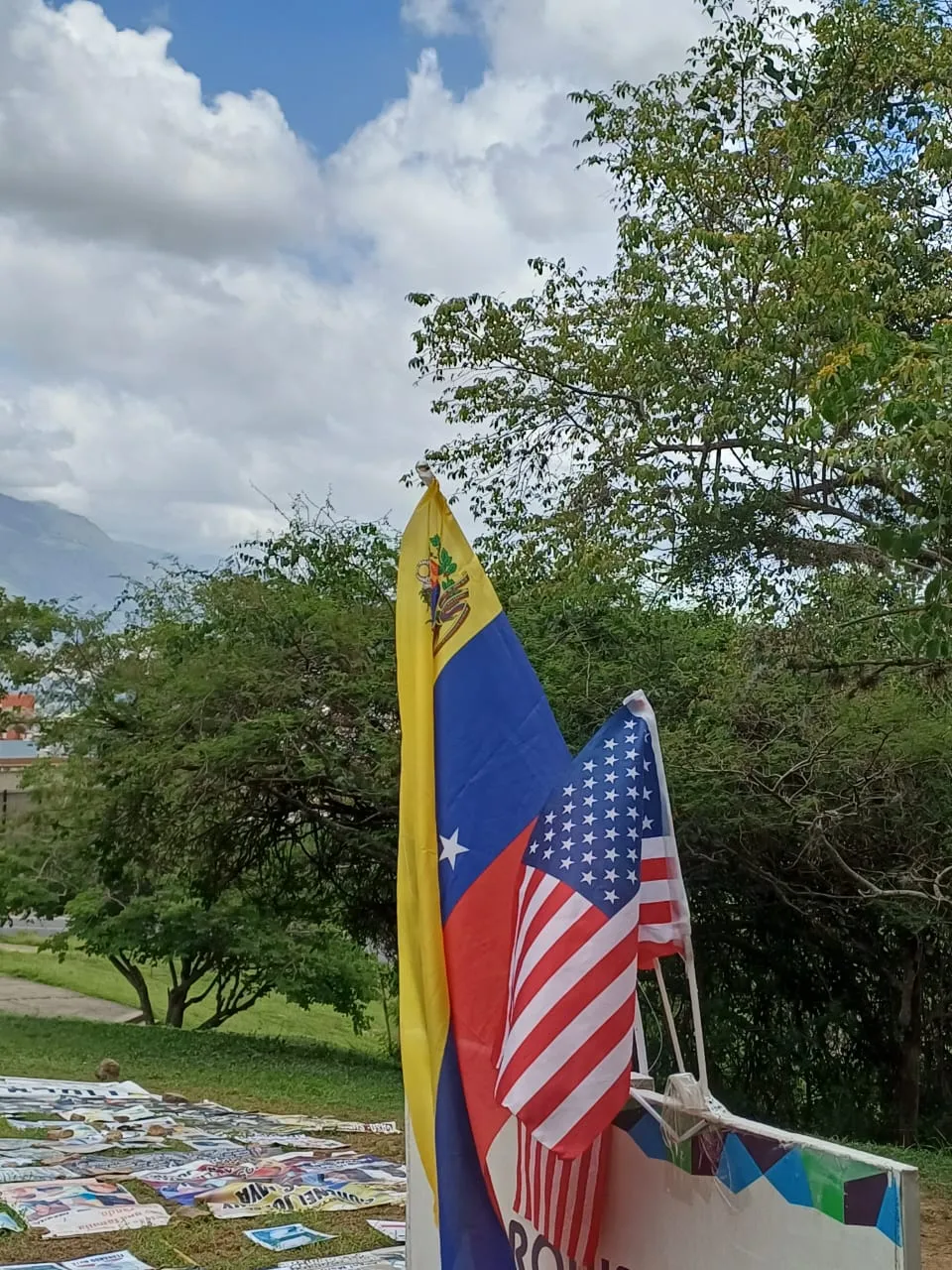 Imagen 5 de 31