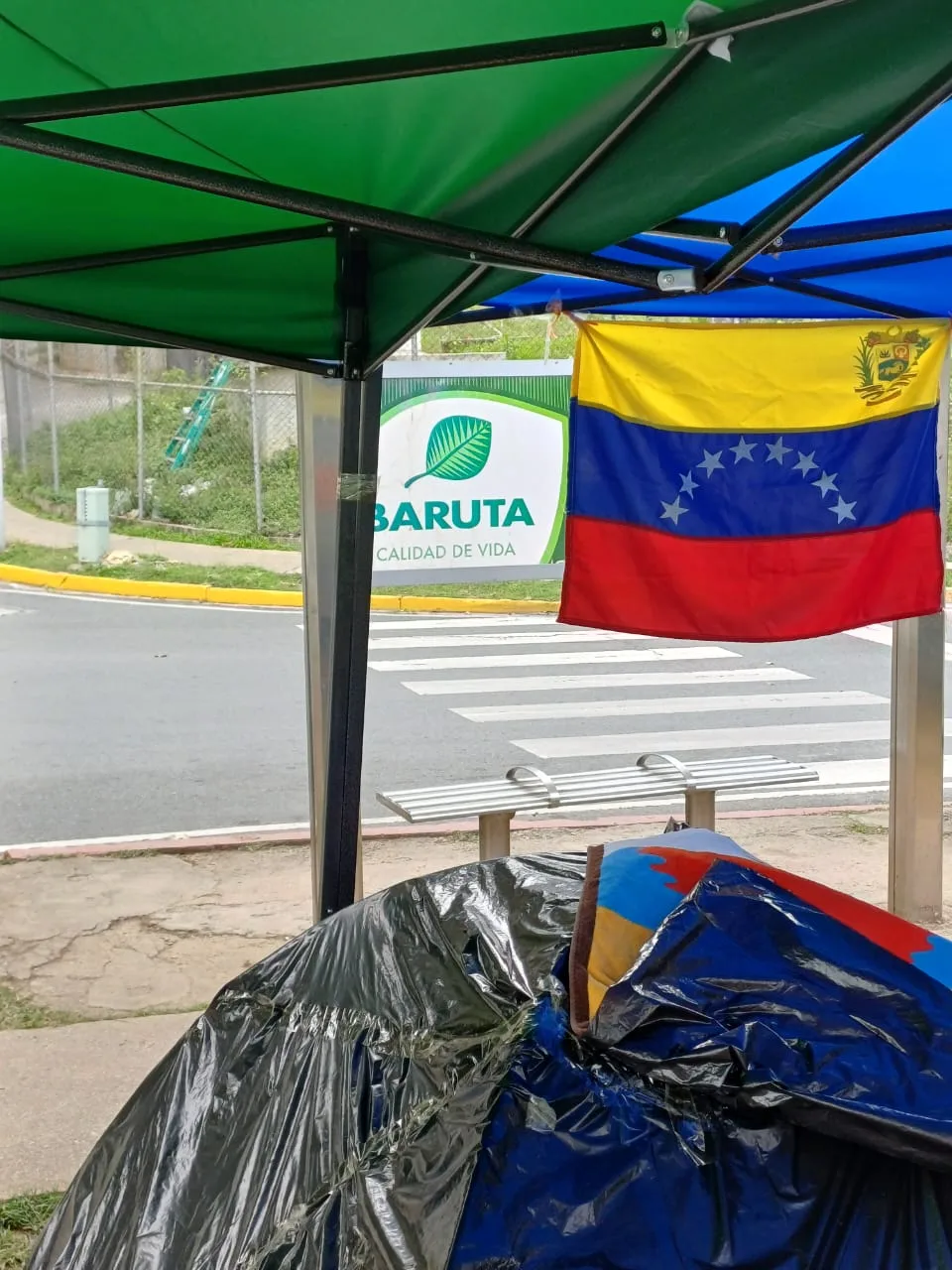 Imagen 8 de 31