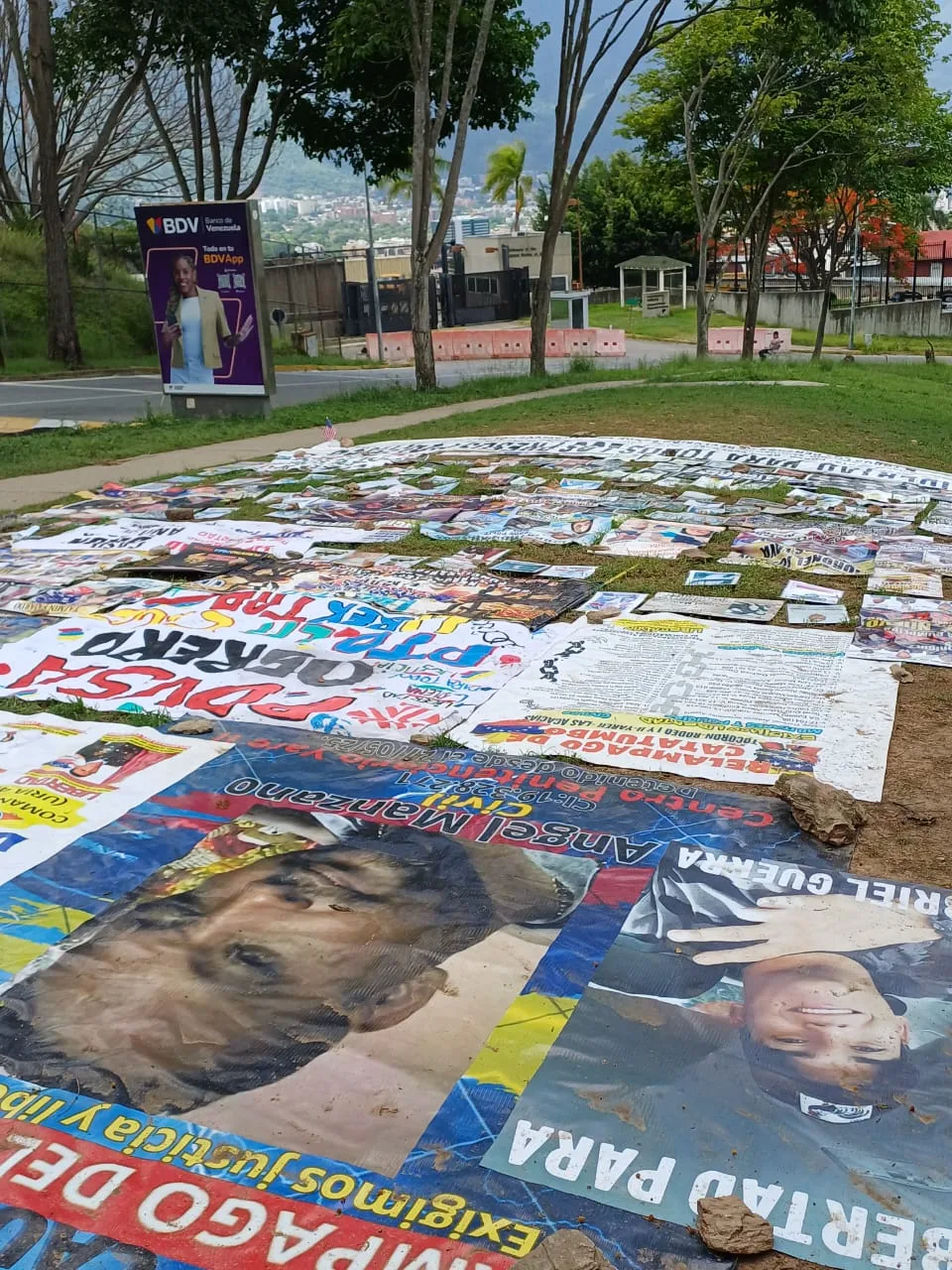 Imagen 9 de 31