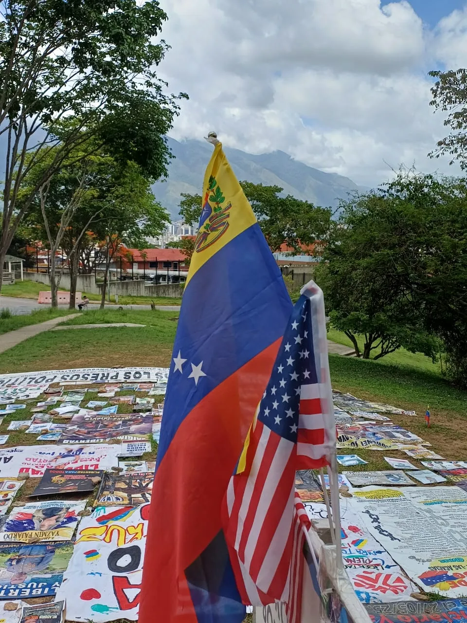 Imagen 12 de 31