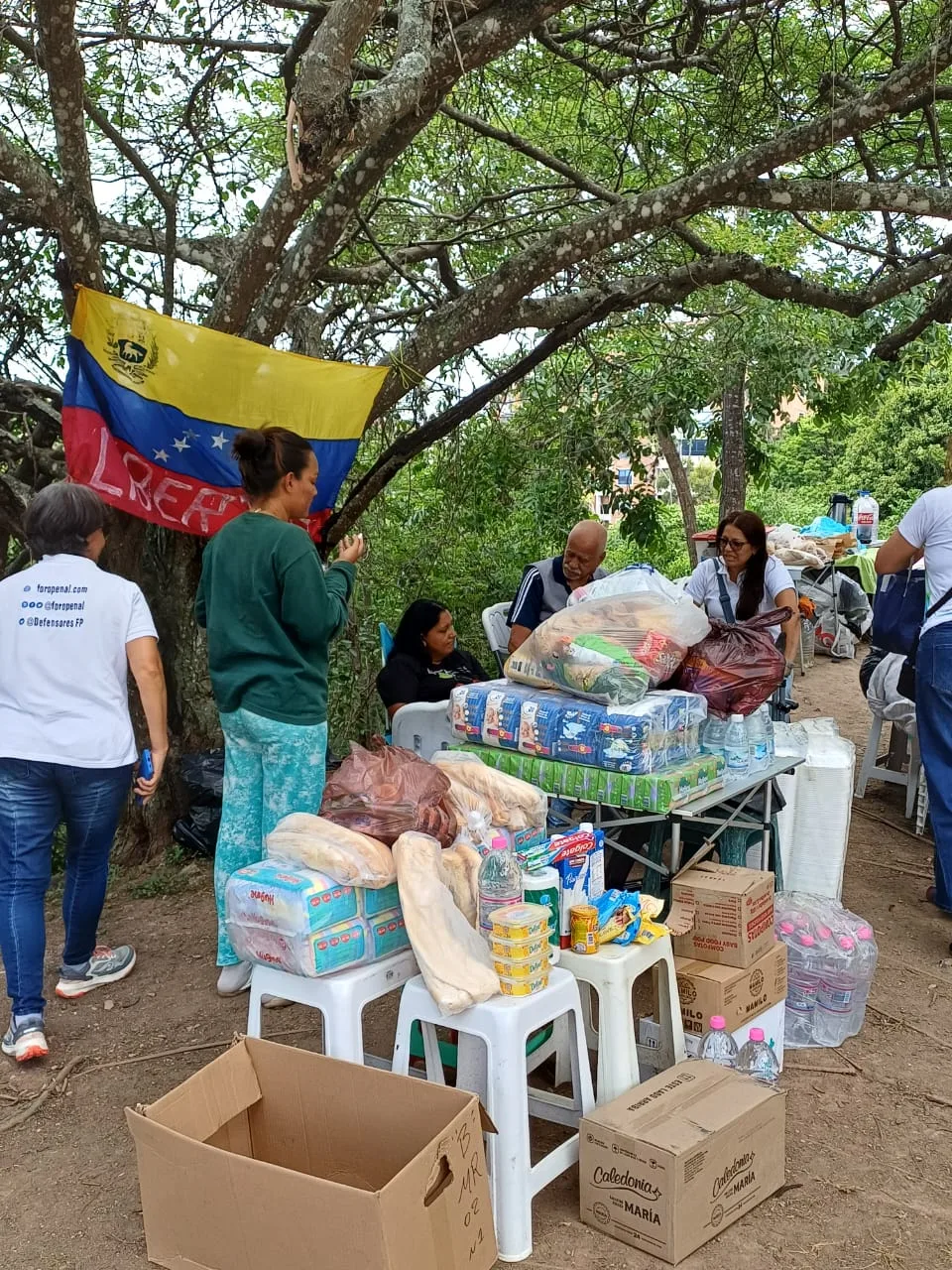 Imagen 17 de 31