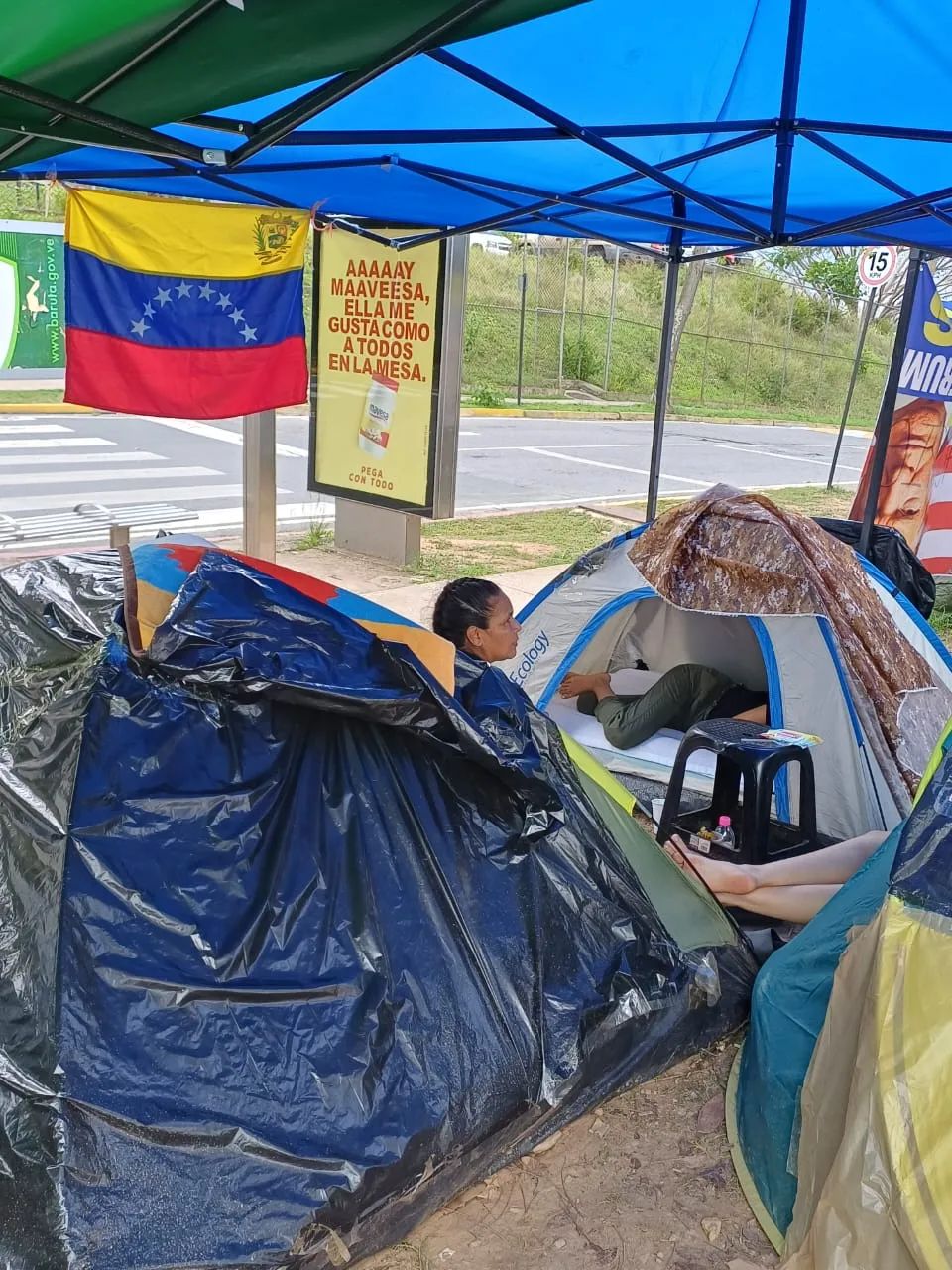 Imagen 19 de 31