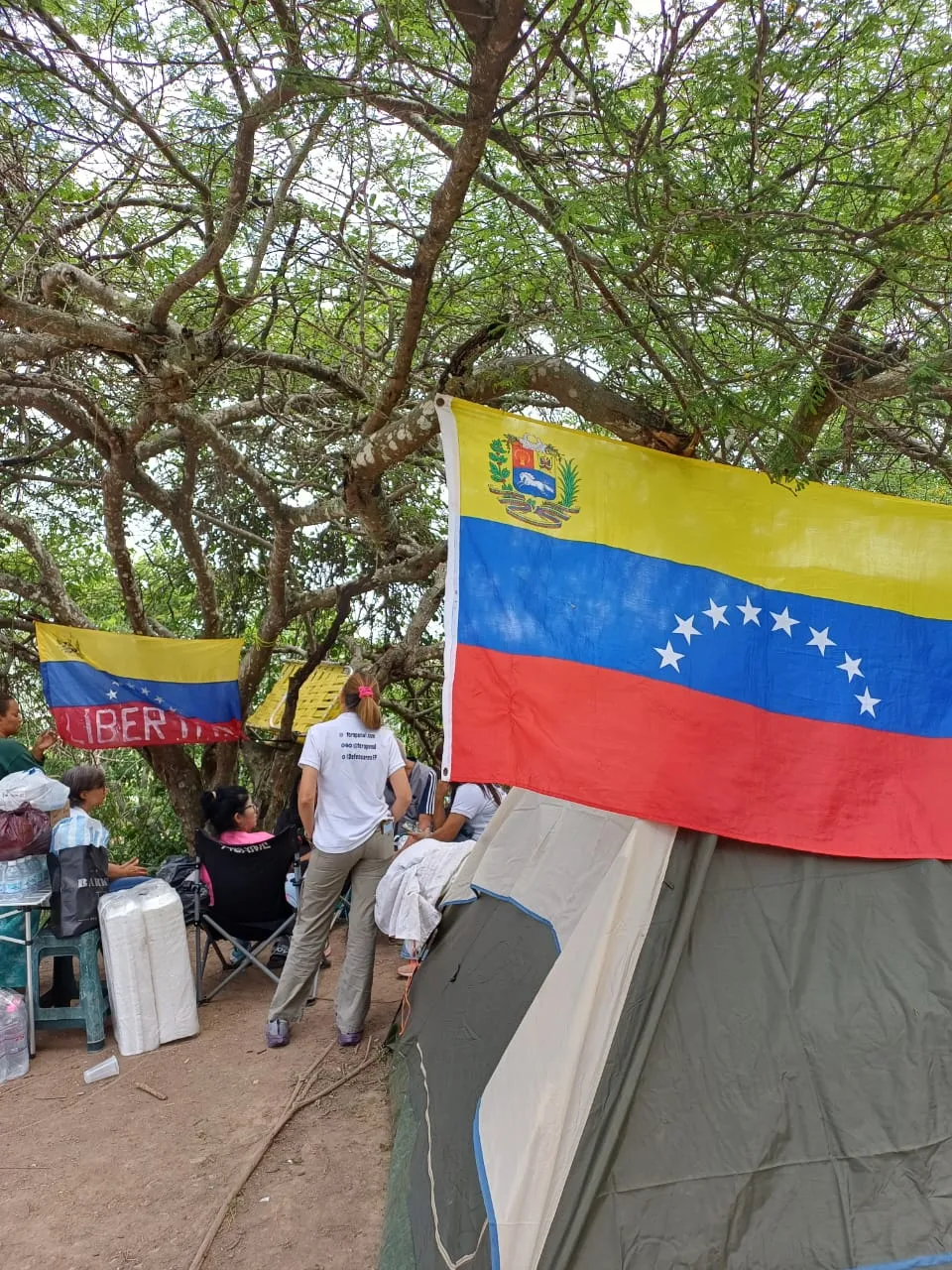 Imagen 24 de 31