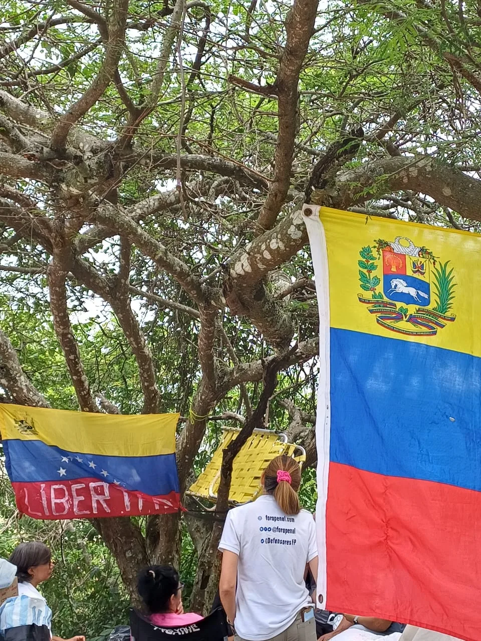 Imagen 26 de 31