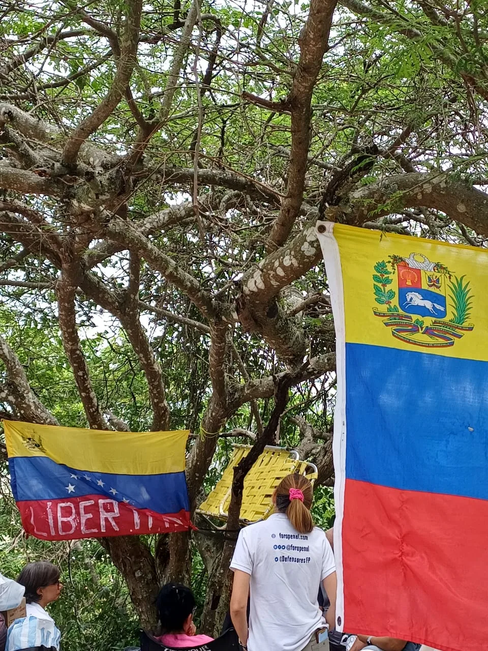 Imagen 29 de 31