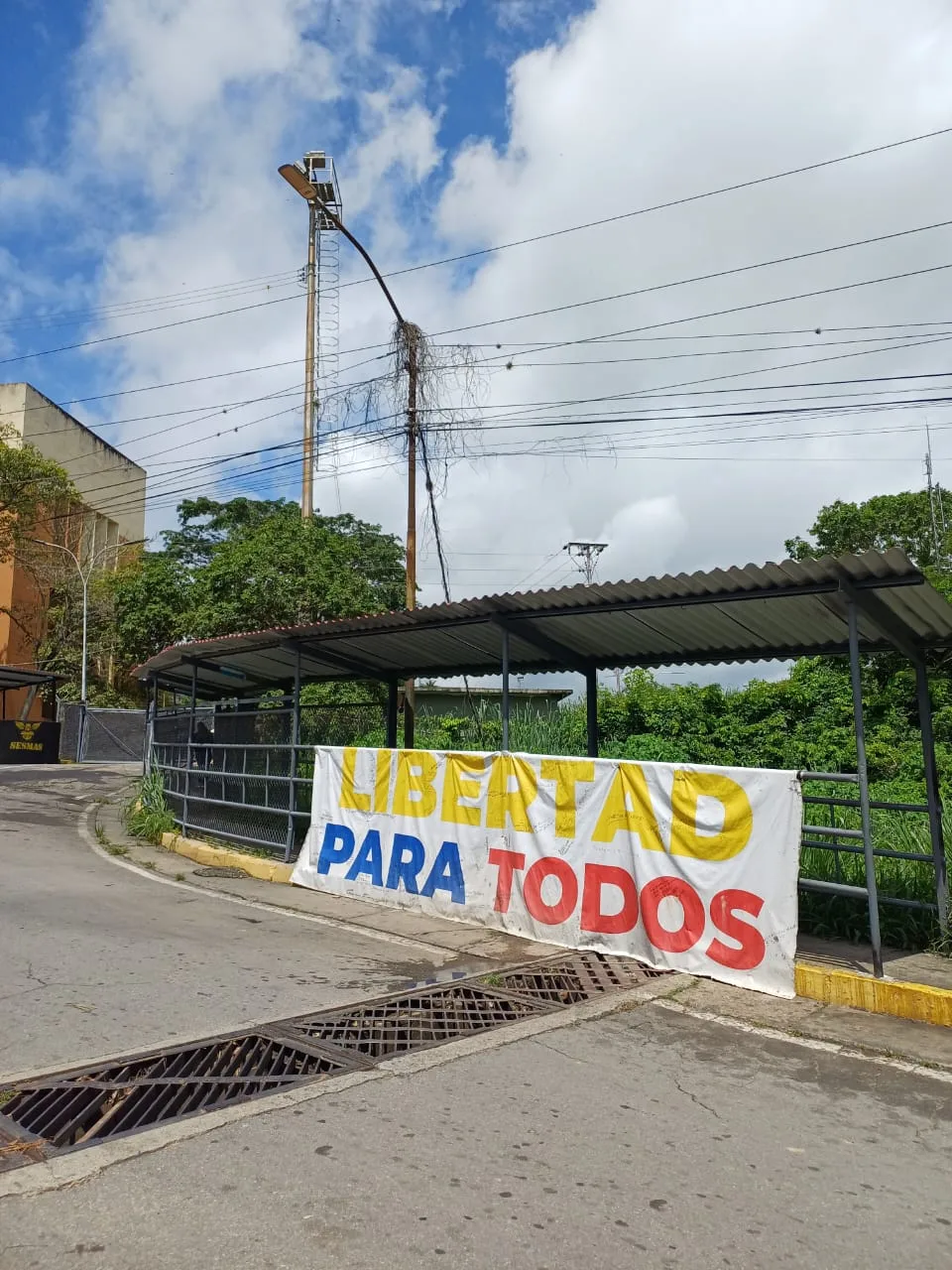 Imagen 11 de 15