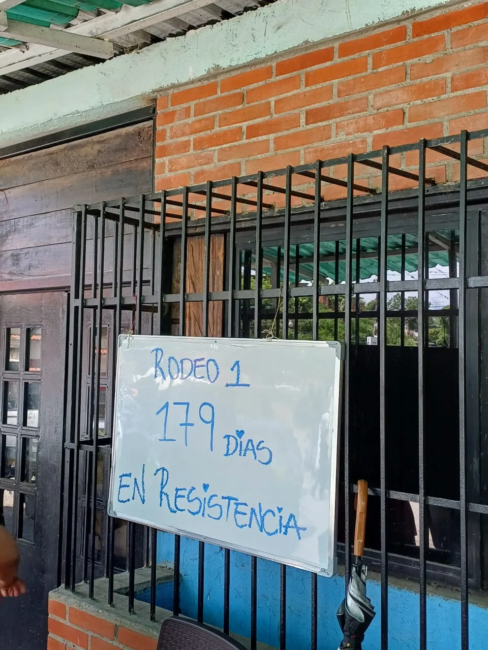 Imagen 12 de 15