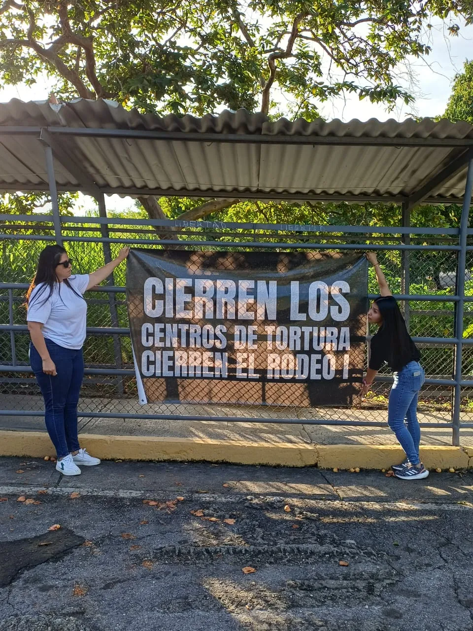 Imagen 4 de 17