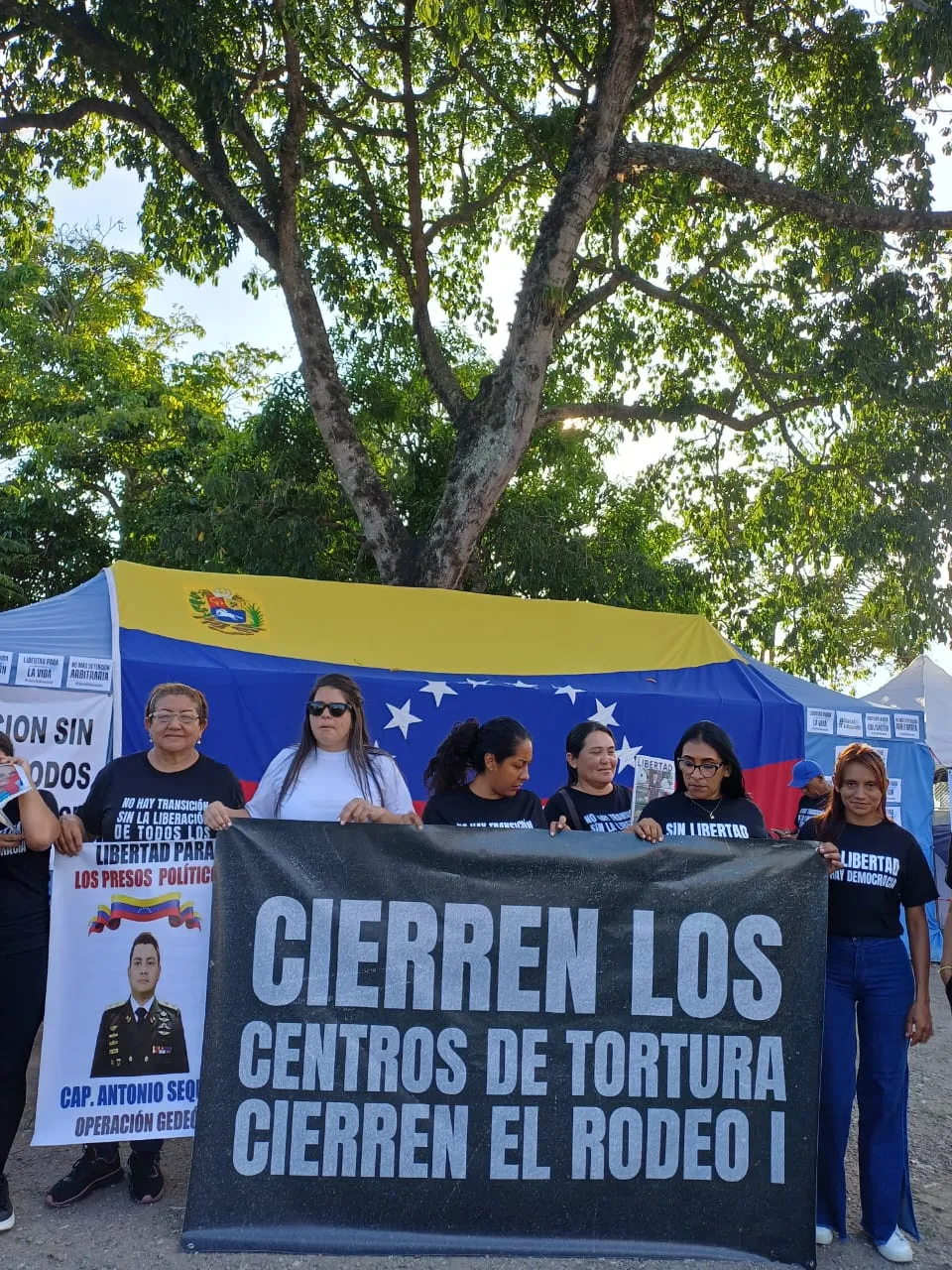 Imagen 6 de 17