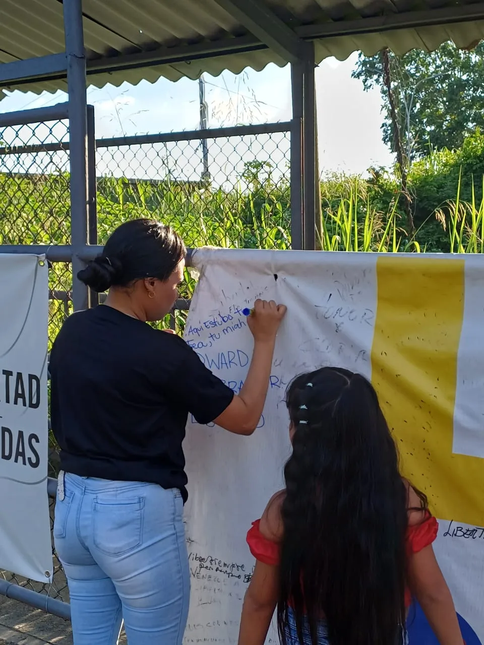 Imagen 8 de 17