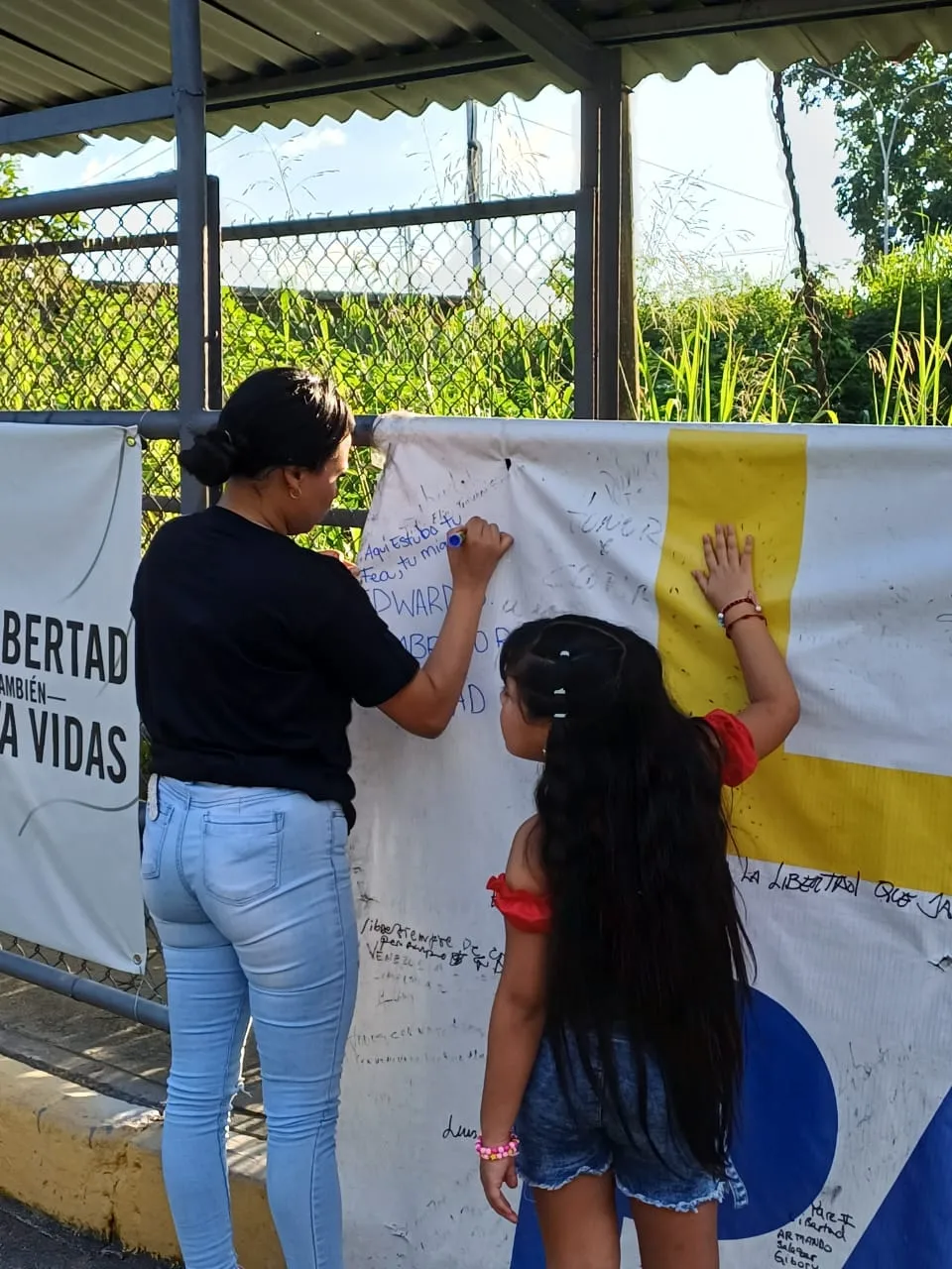 Imagen 11 de 17