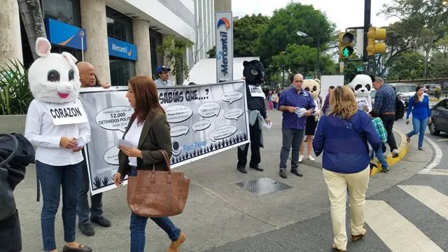 Imagen 4 de 8