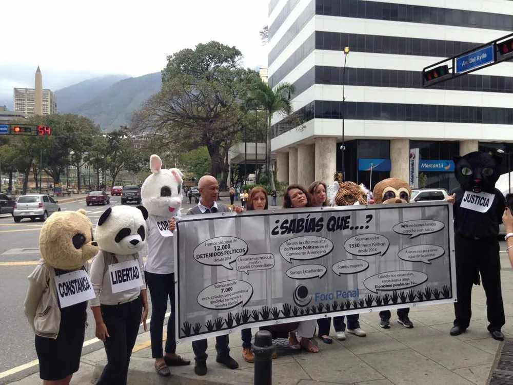 Imagen 8 de 8