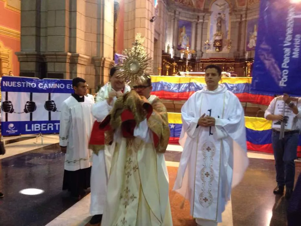 Imagen 3 de 14