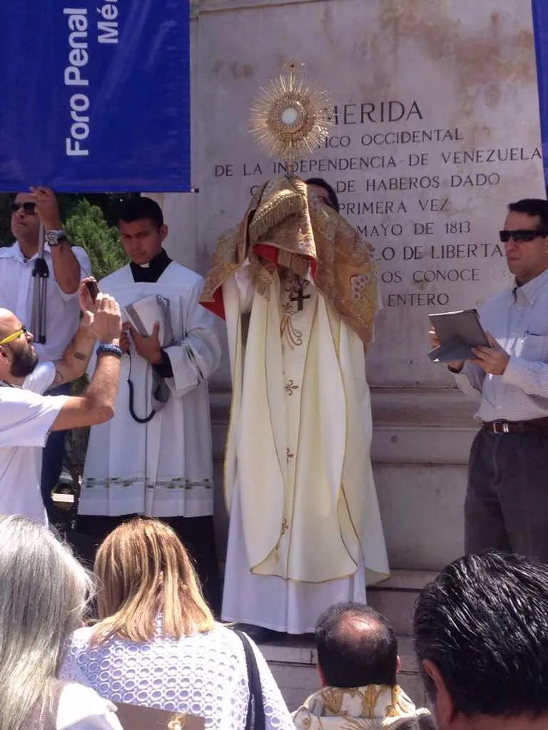 Imagen 10 de 14