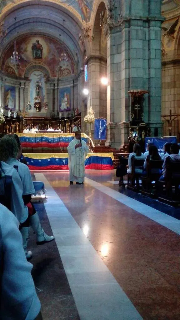 Imagen 7 de 14