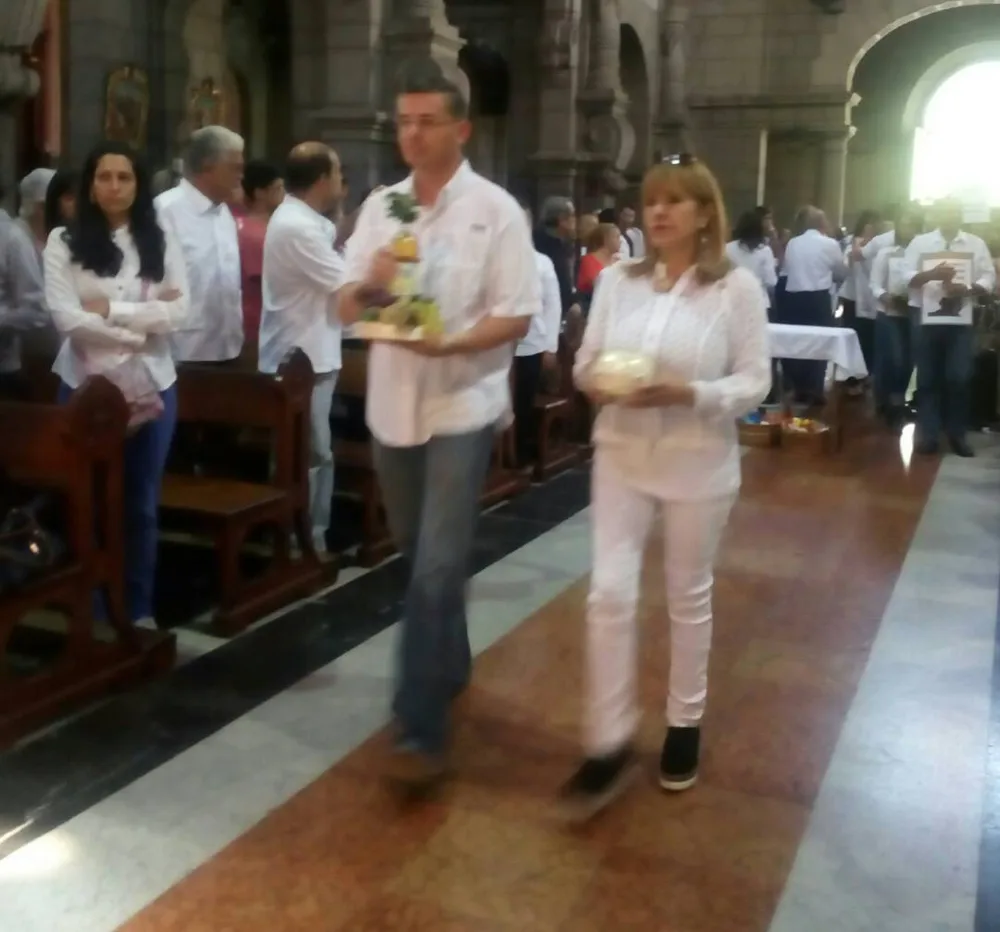 Imagen 8 de 14