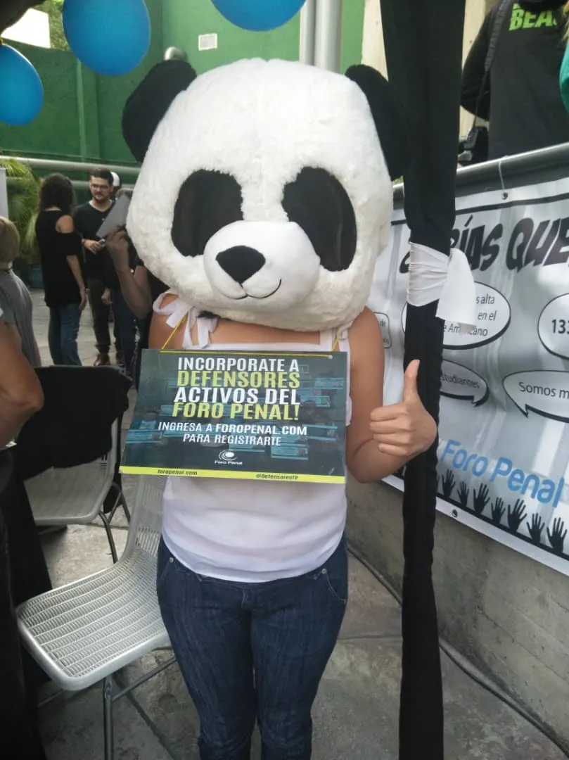 Imagen 6 de 14