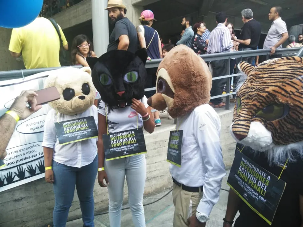 Imagen 5 de 14