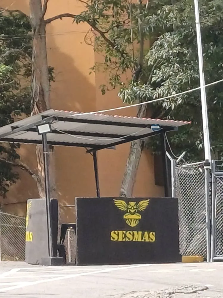 Imagen 14 de 25