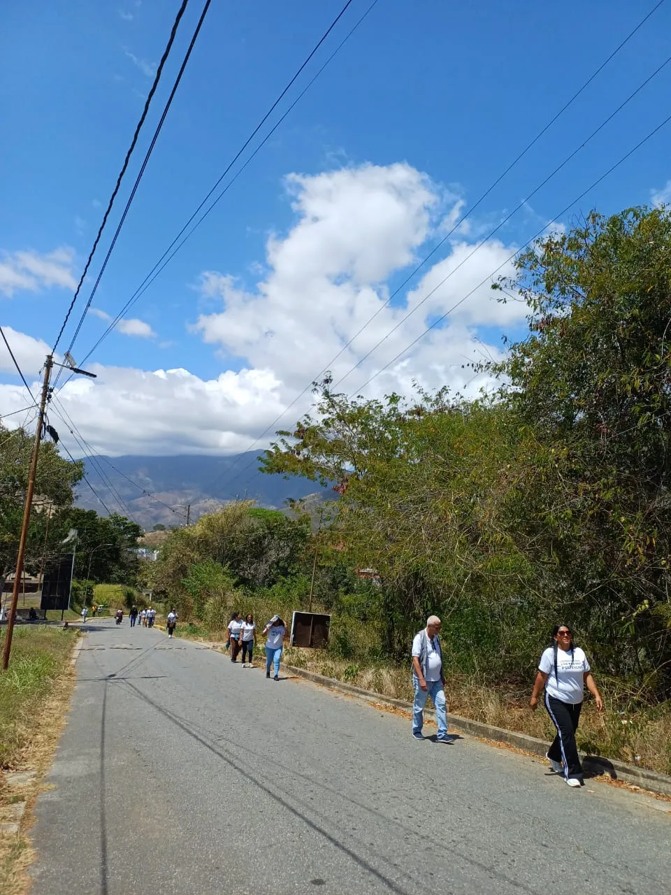 Imagen 39 de 39