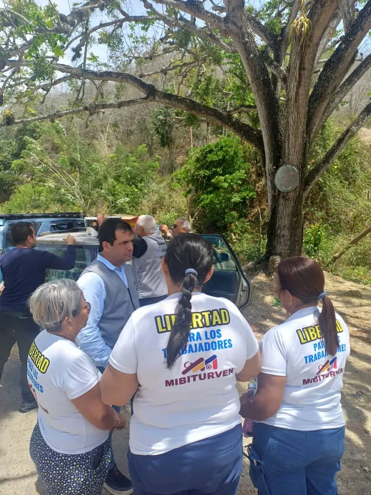 Imagen 6 de 29